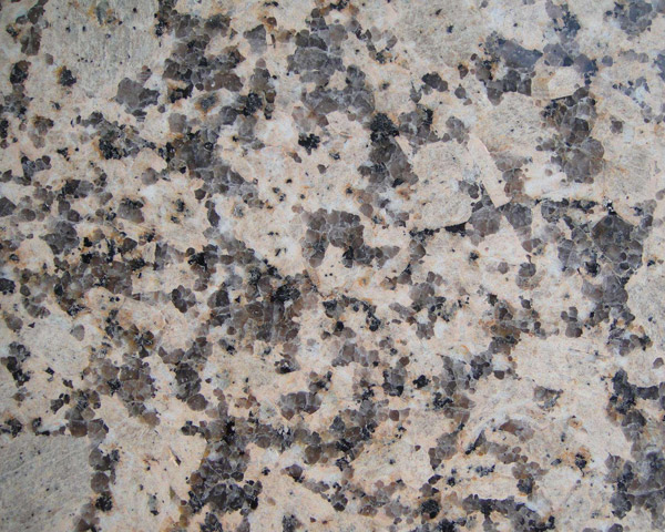 芝麻白花岗岩外墙干挂石材厂家芝麻白地铺板材